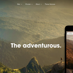 Premium Shopify Theme