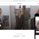 Premium Shopify Theme