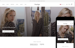 Premium Shopify Theme