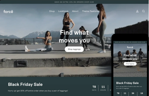 Premium Shopify Theme