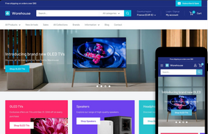Premium Shopify Theme
